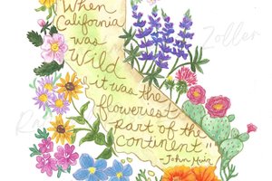 California Flowers 5x7" Print