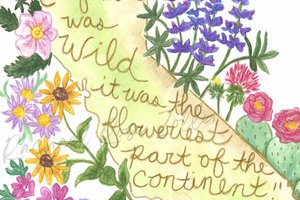 California Flowers 5x7" Print