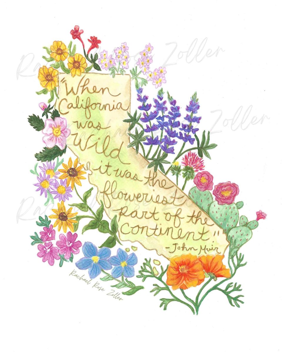 California Flowers 5x7" Print