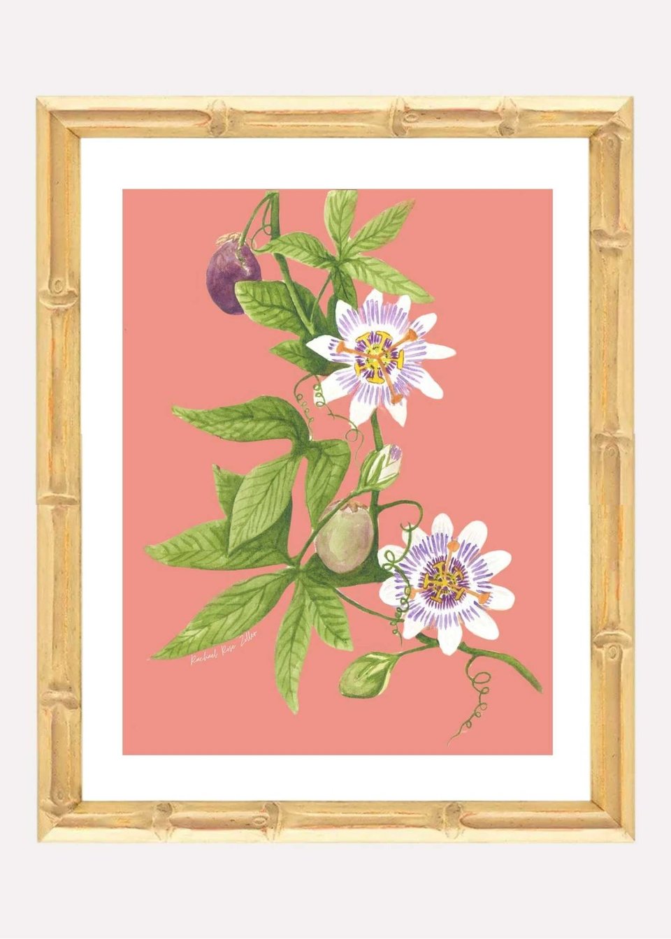 Passionflower Watercolor 5x7" Print