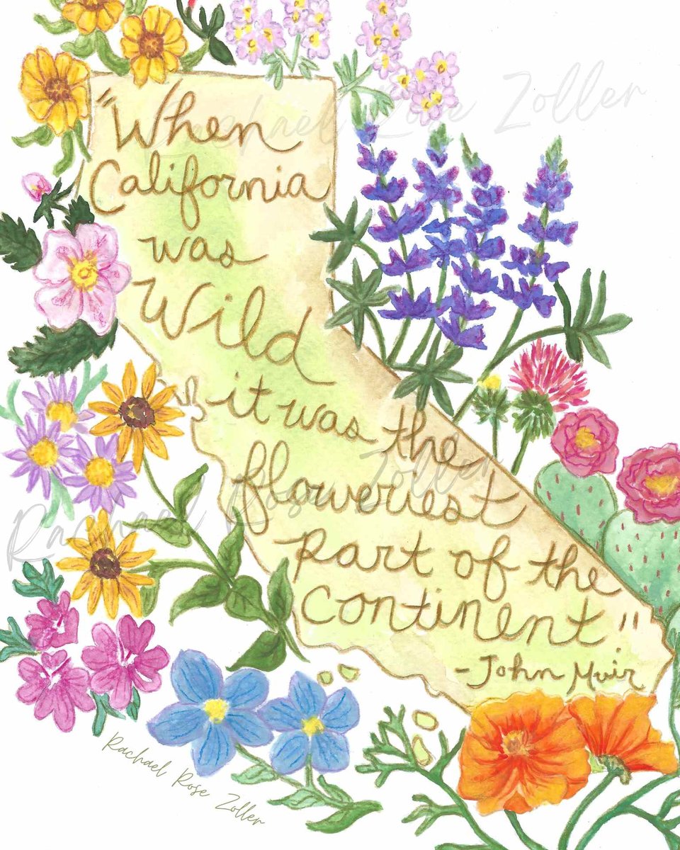 California Flowers 5x7" Print