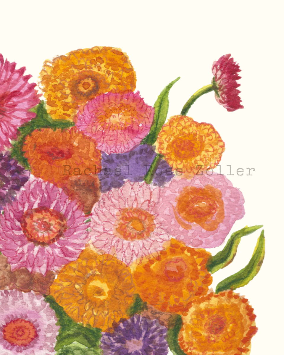 Strawflower Watercolor Print 8x10"
