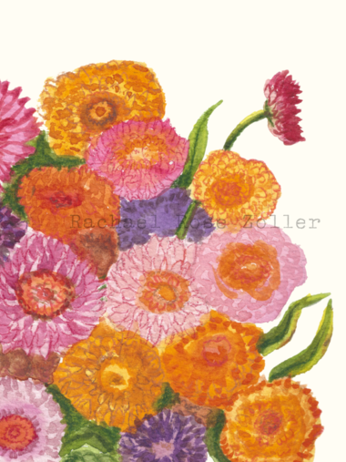 Strawflower Watercolor Print 8x10"